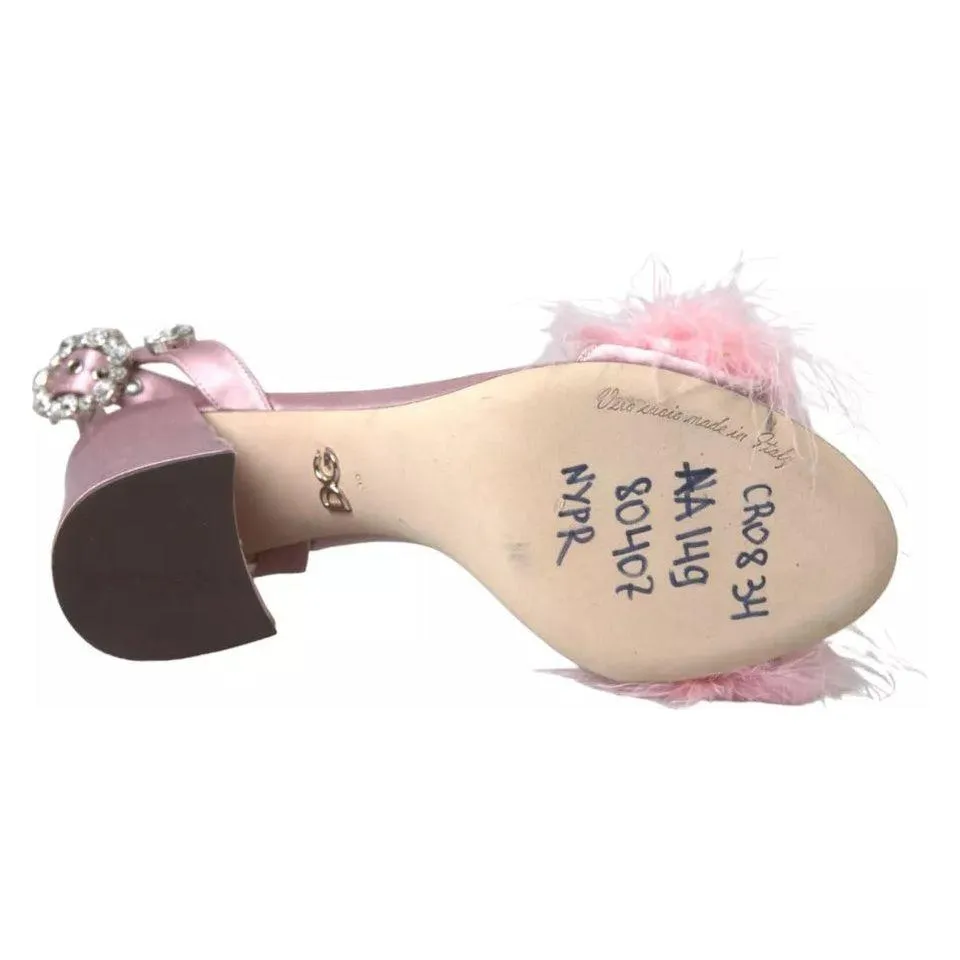 Dolce & Gabbana Pink Turkey Feather Embellished Sandals Shoes