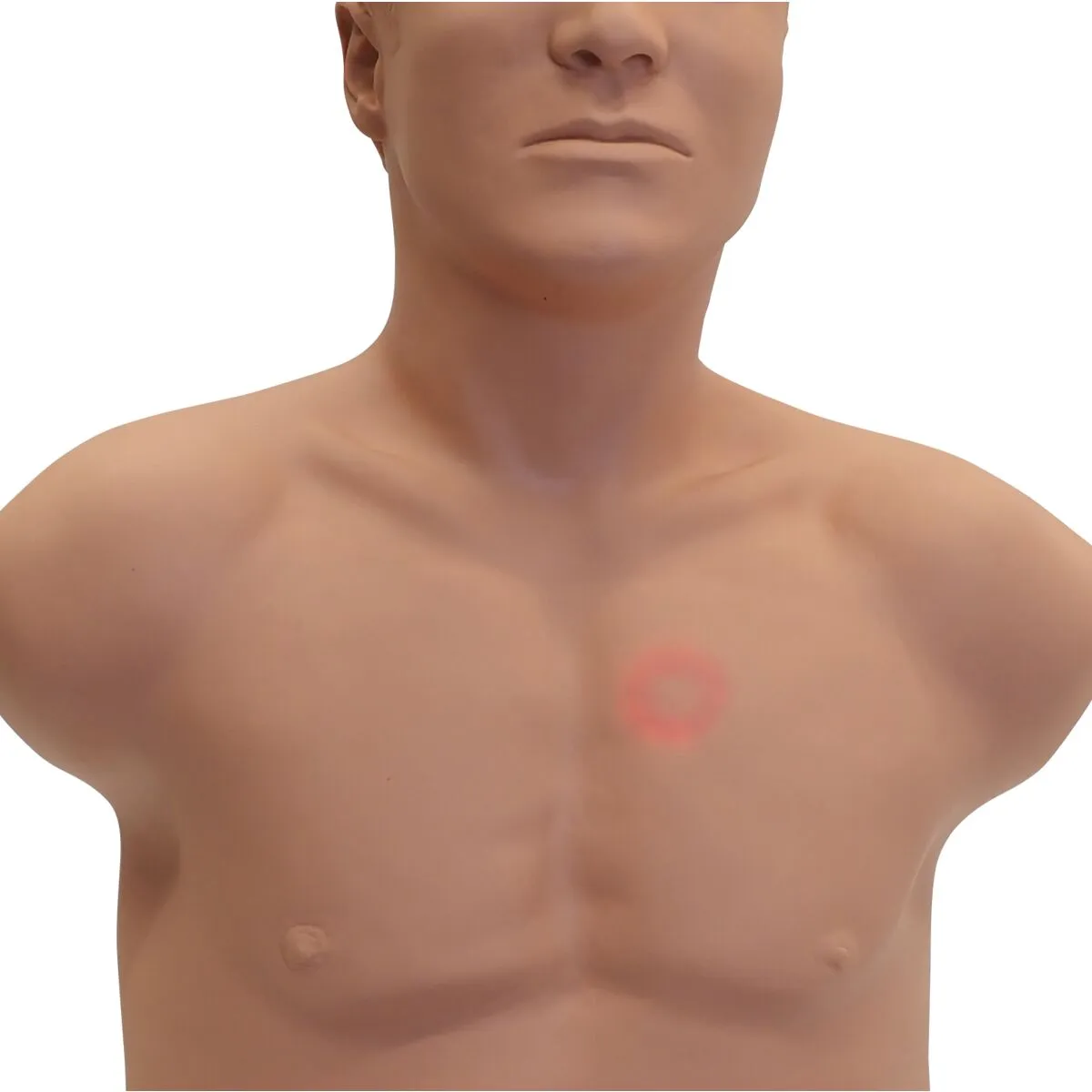 SAM4 Plus Auscultation Manikin, Light