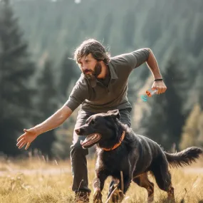 Three-Head Ultrasonic Dog Trainer